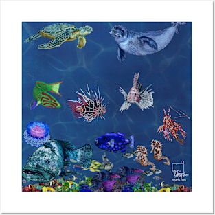 sea life Posters and Art